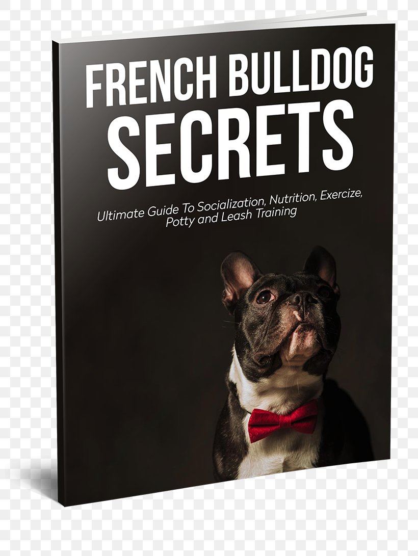 French Bulldog Puppy Pug Dog Breed, PNG, 800x1091px, French Bulldog, Advertising, Assistance Dog, Book, Boston Terrier Download Free