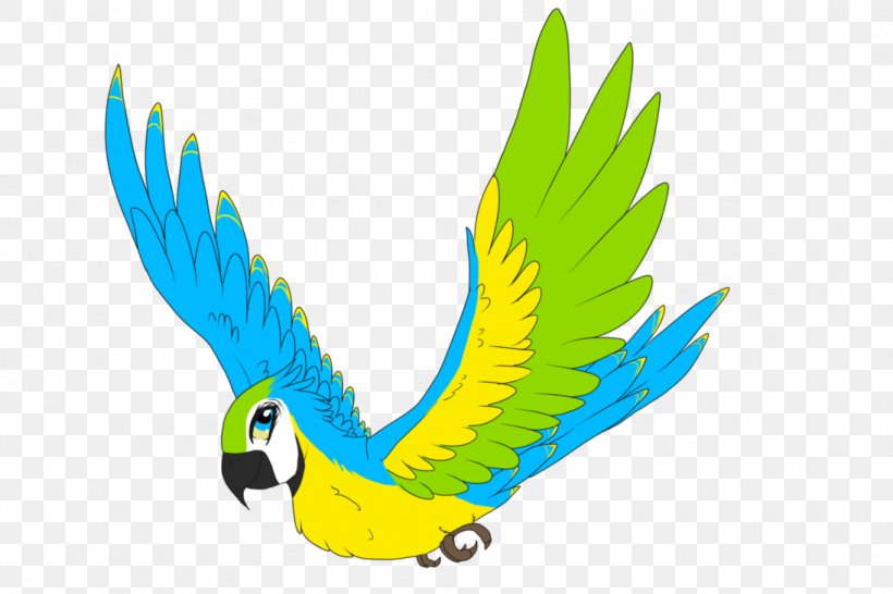 Macaw Feather Beak Parakeet Clip Art, PNG, 1095x730px, Macaw, Beak, Bird, Common Pet Parakeet, Computer Download Free