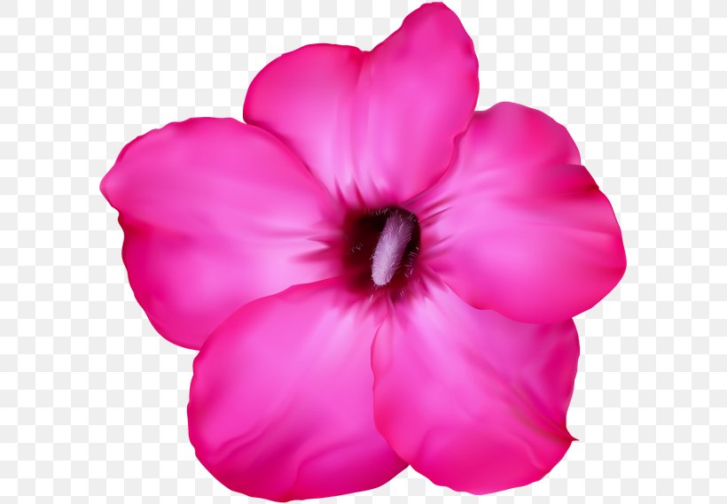 Clip Art, PNG, 600x569px, Royaltyfree, Art, Azalea, Creative Market, Flower Download Free