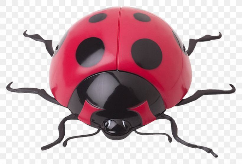 Ladybug, PNG, 850x577px, Insect, Beetle, Ladybug, Leaf Beetle Download Free