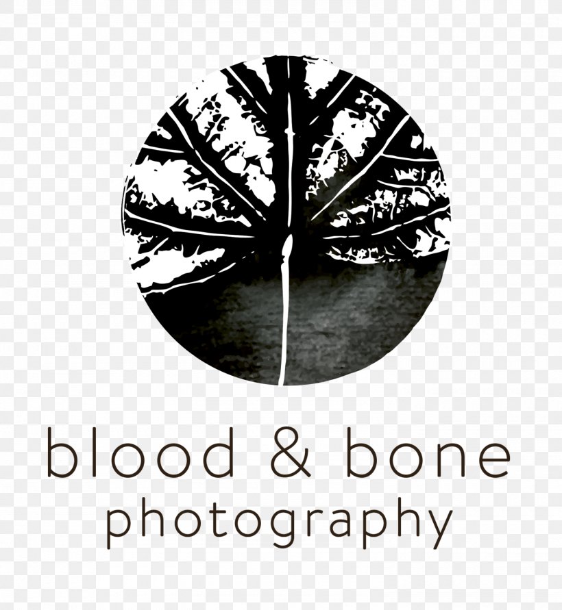 Photography Social Media Logo Neue Galerie New York, PNG, 1500x1631px, Photography, Blood And Bone, Brand, Gmail, Img Download Free