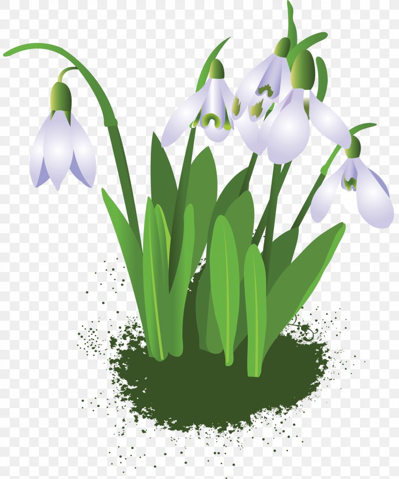 Snowdrop Flower Raster Graphics Clip Art, PNG, 2078x2500px, Snowdrop, Coreldraw, Daytime, Depositfiles, Digital Image Download Free