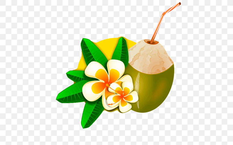 Coconut, PNG, 1280x800px, Coconut Water, Absorption, Chemistry, Coconut, Developmental Psychology Download Free