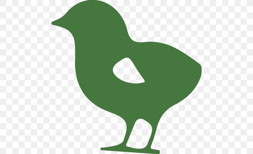 Cygnini Farm Goose Water Bird, PNG, 557x500px, Cygnini, Alimento Saludable, Beak, Bird, Chicken Download Free