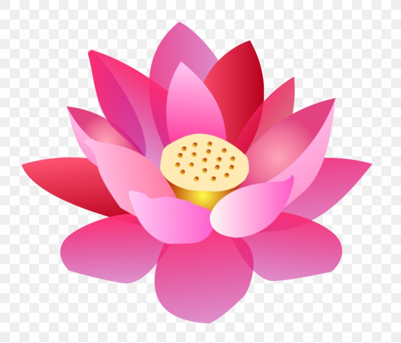 Nelumbo Nucifera Cartoon Flower, PNG, 1024x877px, Nelumbo Nucifera, Aquatic Plant, Cartoon, Cartoon Physics, Comics Download Free