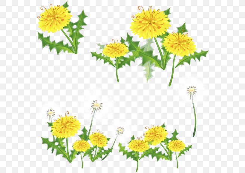 Flowering Plant Herbaceous Plant Floristry, PNG, 600x580px, Image File Formats, Annual Plant, Calendula, Chamaemelum Nobile, Chrysanths Download Free
