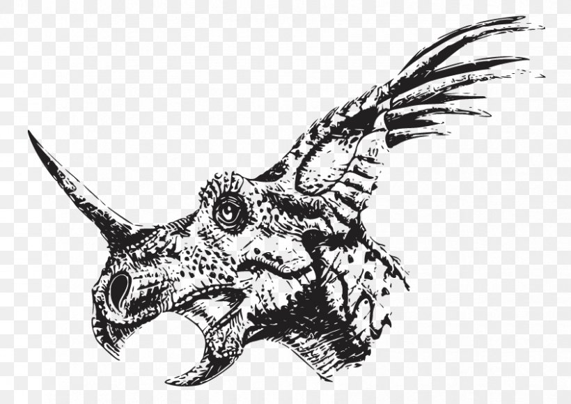 Styracosaurus Centrosaurus Chasmosaurus Einiosaurus Albertaceratops, PNG, 842x596px, Styracosaurus, Achelousaurus, Albertaceratops, Avaceratops, Black And White Download Free