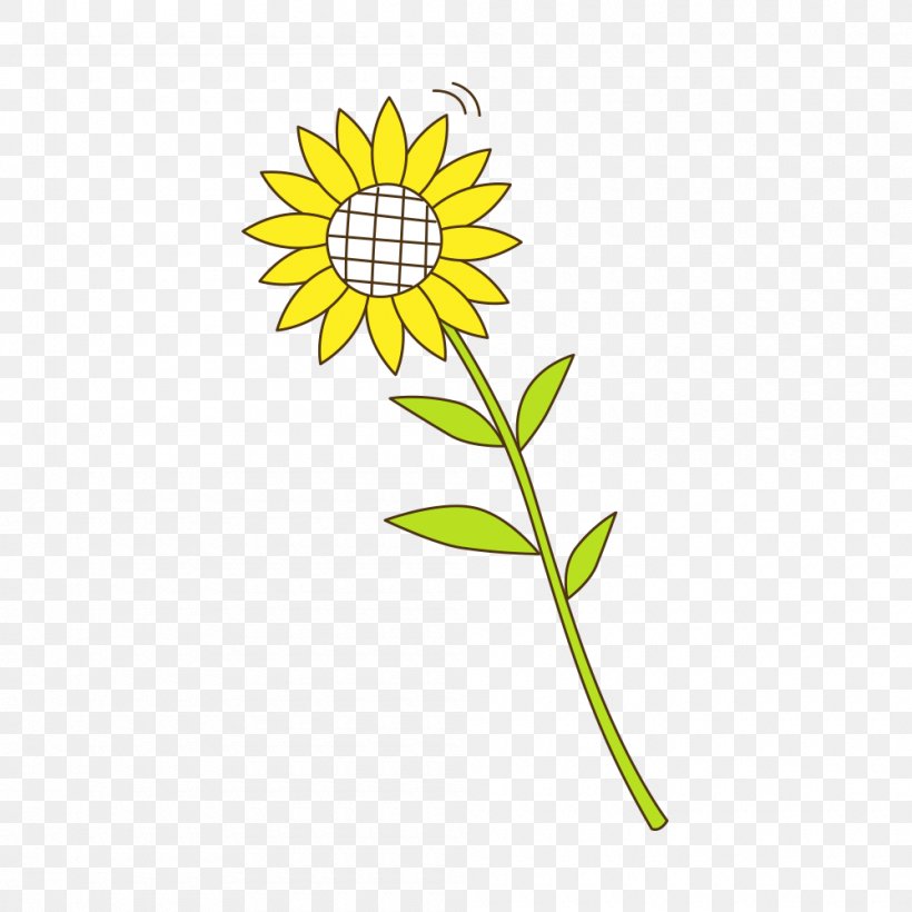 Sunflower Seed Yellow Sunflowers Pattern, PNG, 1000x1000px, Sunflower Seed, Area, Daisy, Daisy Family, Flora Download Free