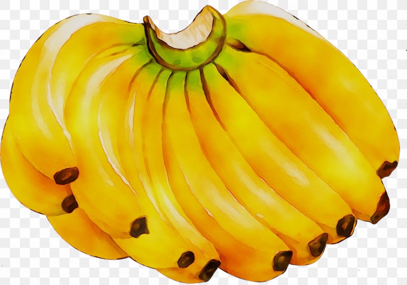 Banana Clip Art Vector Graphics Image, PNG, 1208x848px, Banana, Banana Chip, Banana Family, Calabaza, Cooking Banana Download Free