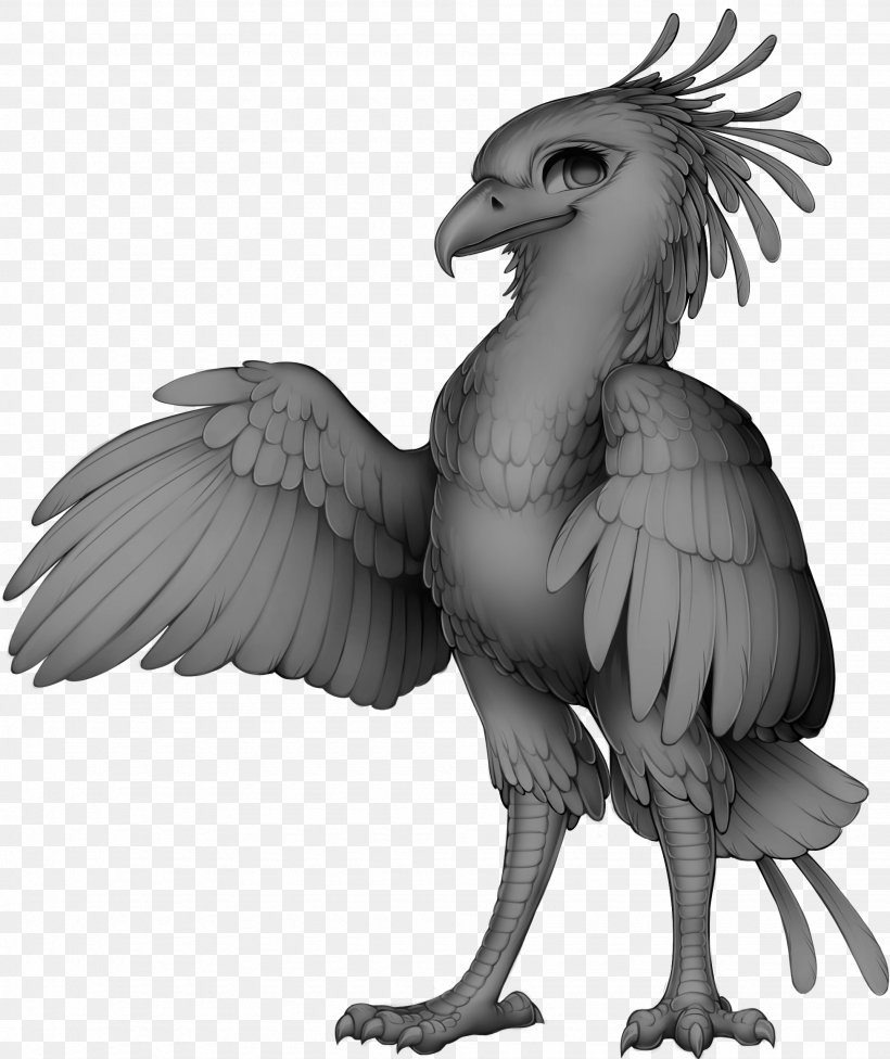Chicken Bird Of Prey Beak Secretarybird, PNG, 1950x2323px, Chicken, Animal, Art, Beak, Bird Download Free