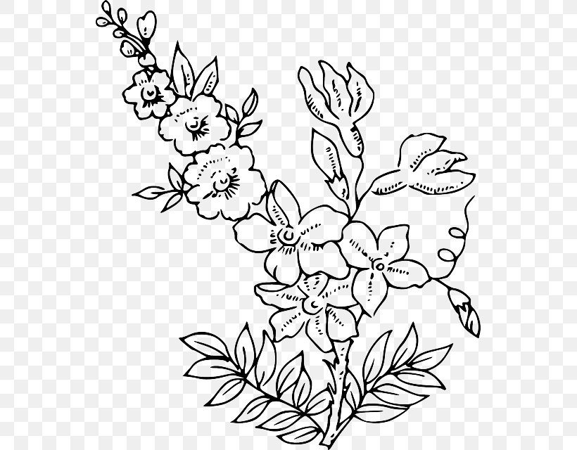 Flower Drawing Clip Art, PNG, 547x640px, Flower, Art, Black And White, Branch, Color Download Free