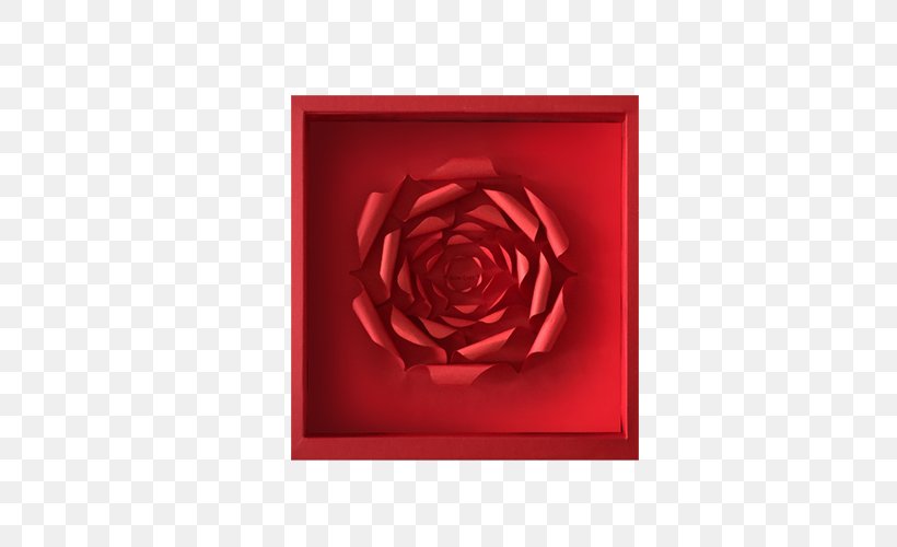 Garden Roses Beach Rose Icon, PNG, 500x500px, Garden Roses, Beach Rose, Box, Cake, Flower Download Free