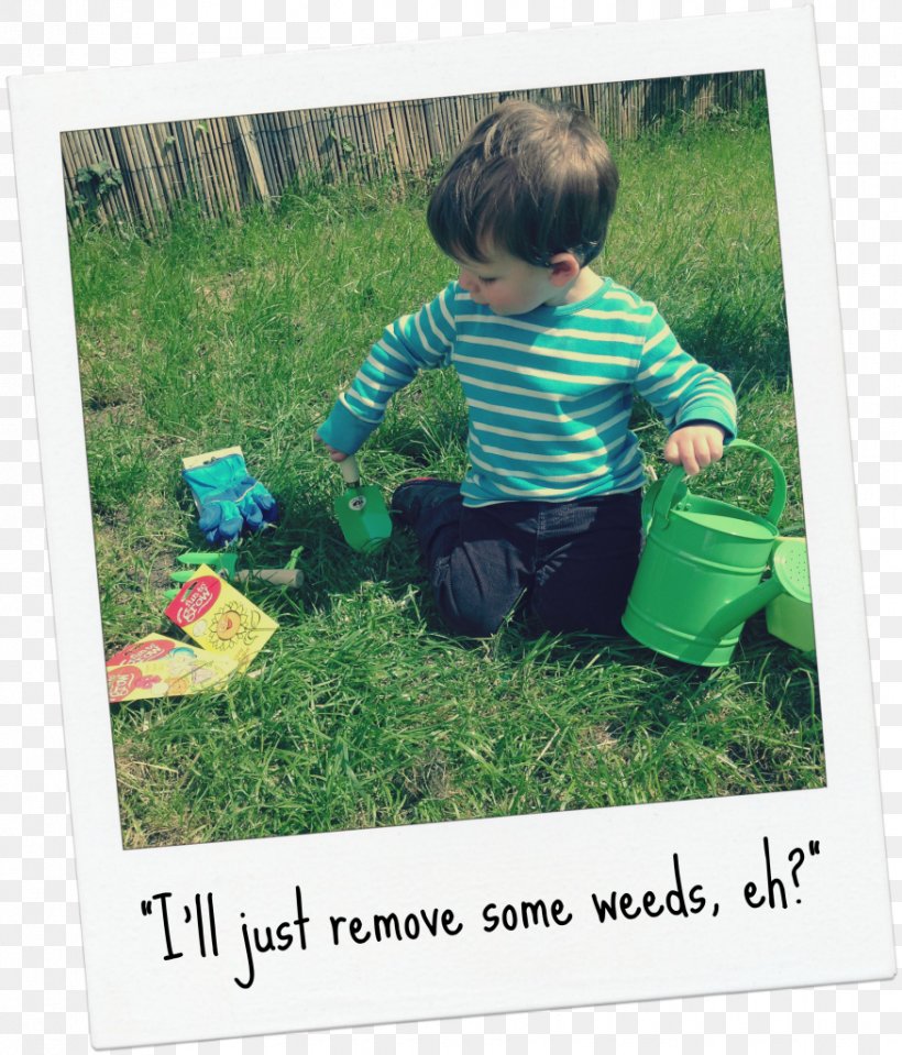 Human Behavior Toddler Yard Child, PNG, 875x1024px, Human Behavior, Behavior, Boy, Child, Garden Download Free