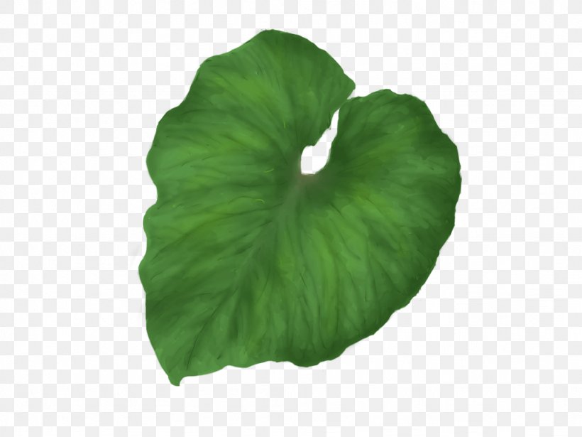 Leaf Image Resolution Clip Art, PNG, 1024x768px, Leaf, Annual Plant, Autumn Leaf Color, Grass, Green Download Free