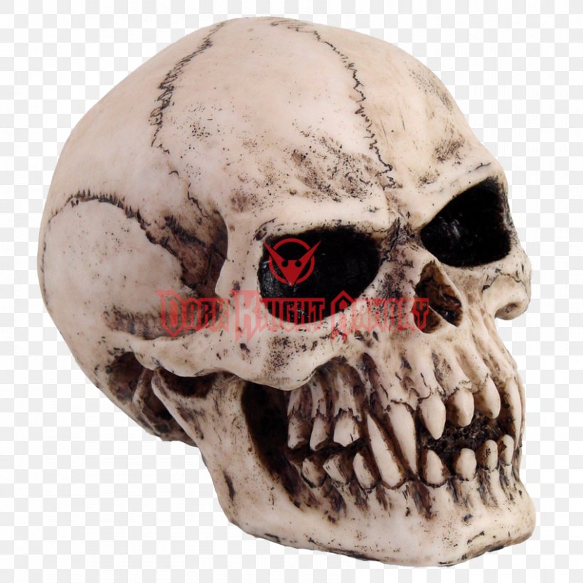 Skull Vampire Skeleton Totenkopf Goth Subculture, PNG, 850x850px, Skull, Altar, Altarpiece, Bone, Death Download Free