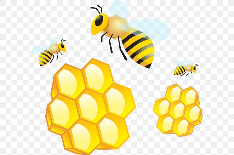 Vector Graphics Stock Illustration Image, PNG, 600x545px, Royaltyfree, Arthropod, Bee, Beehive, Bumblebee Download Free