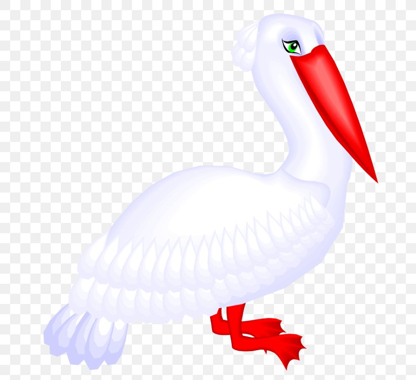 Windows Metafile Pelican Clip Art, PNG, 697x750px, Windows Metafile, Animal Figure, Beak, Bird, Chicken Download Free