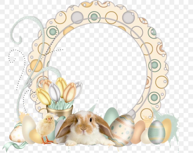 European Rabbit Easter Bunny Cufflink, PNG, 800x650px, European Rabbit, Cufflink, Easter, Easter Bunny, Hotel Sea Shell Resort Spa Download Free