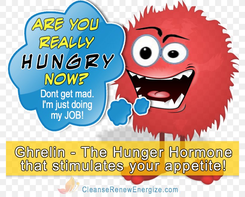 Ghrelin Hormone Appetite Illustration Leptin, PNG, 780x660px, Ghrelin, Appetite, Area, Behavior, Cartoon Download Free