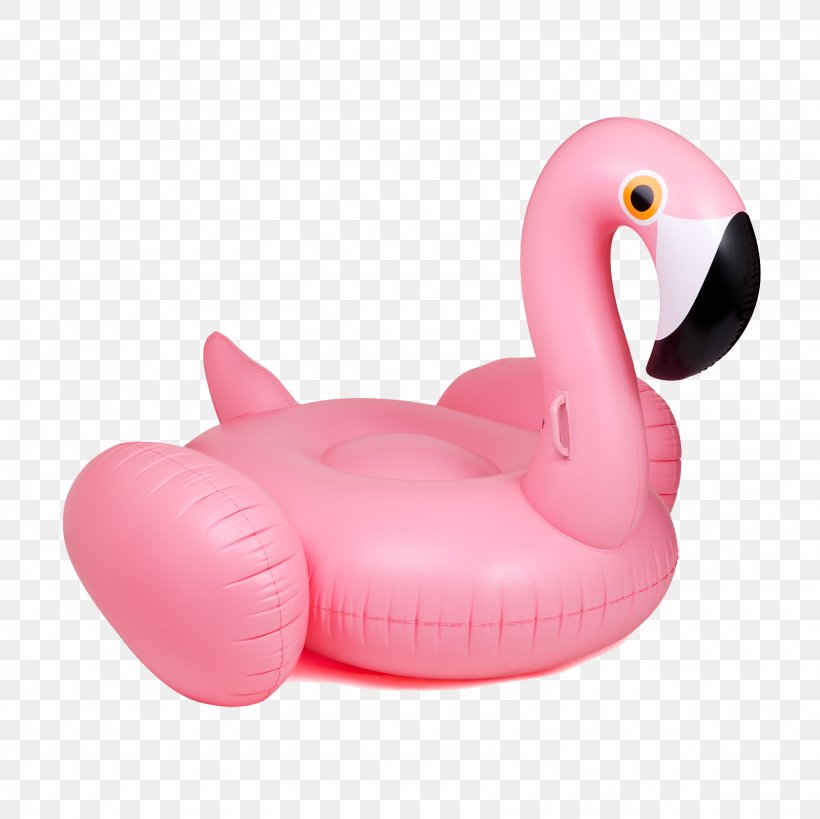 Inflatable Armbands Swimming Pool Toy Swim Ring, PNG, 1600x1600px, Inflatable, Bird, Child, Department Store, Fashion Download Free
