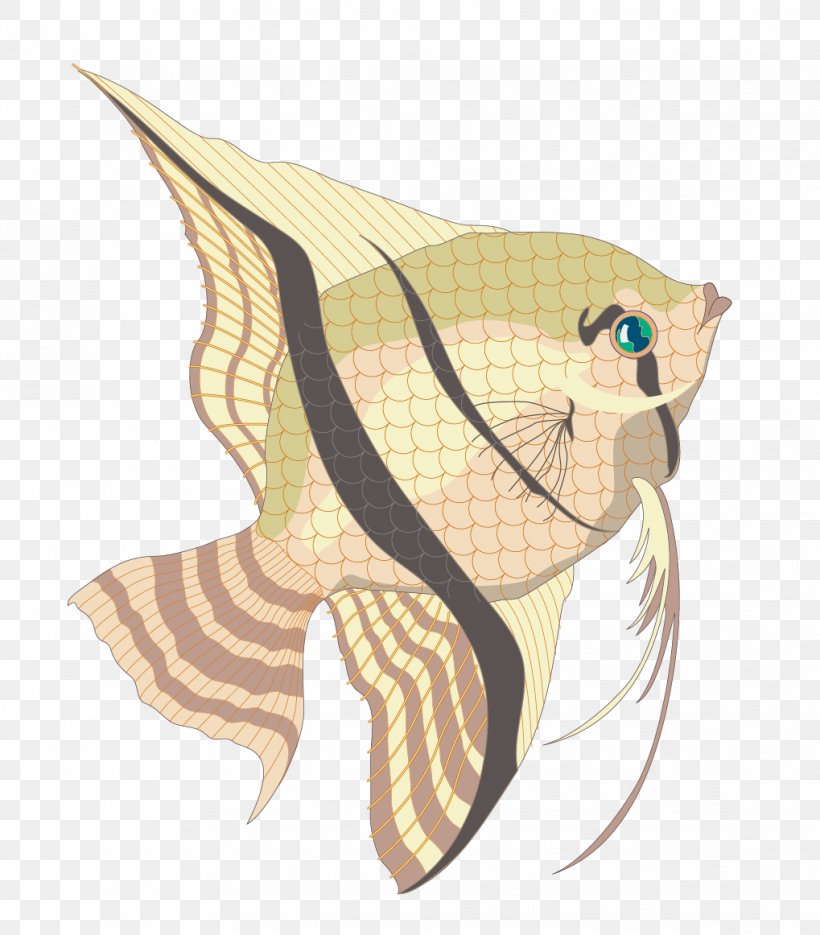 Ornamental Fish Marine Biology, PNG, 1019x1162px, Fish, Animal, Art, Biology, Marine Biology Download Free