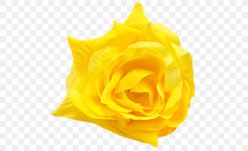 Petal Flower Garden Roses Yellow, PNG, 500x500px, Petal, Artificial Flower, Baby Blue, Blue, Color Download Free