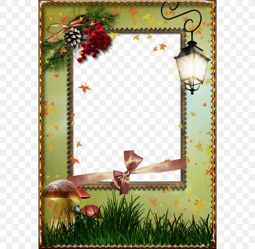 Picture Frame Photography Light, PNG, 572x800px, Picture Frame, Art, Avinash Sachdev, Drawing, Flora Download Free