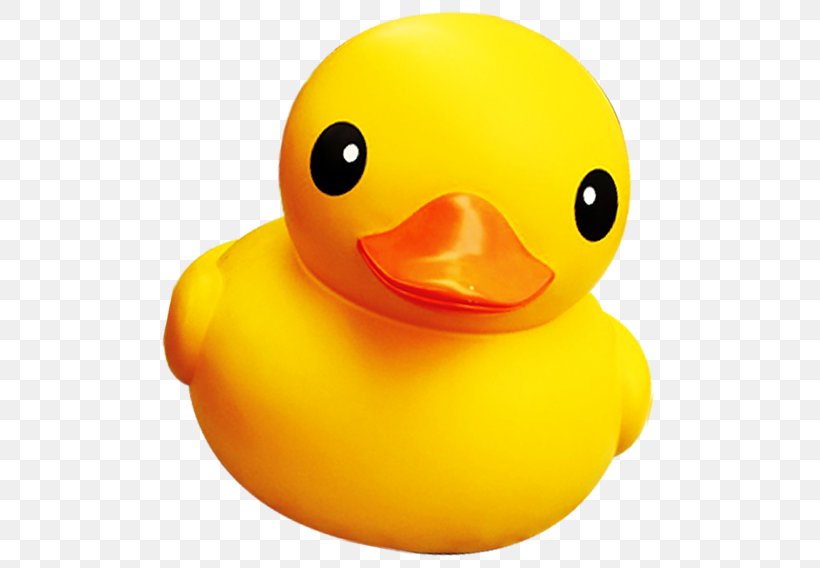 Rubber Duck, PNG, 516x568px, Duck, Animal, Beak, Bird, Cartoon Download Free