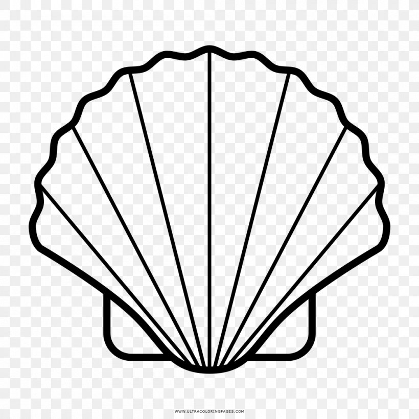 Seashell Drawing Wind Wave, PNG, 1000x1000px, Sea, Area, Black And White, Cape, Coloring Book Download Free