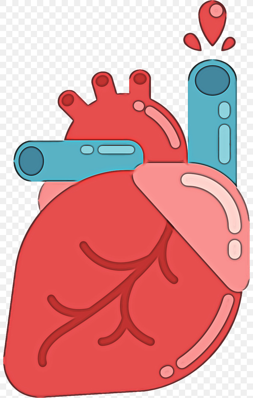 Cartoon Human Body Red Heart Meter, PNG, 800x1287px, Cartoon, Heart, Hm, Human, Human Body Download Free