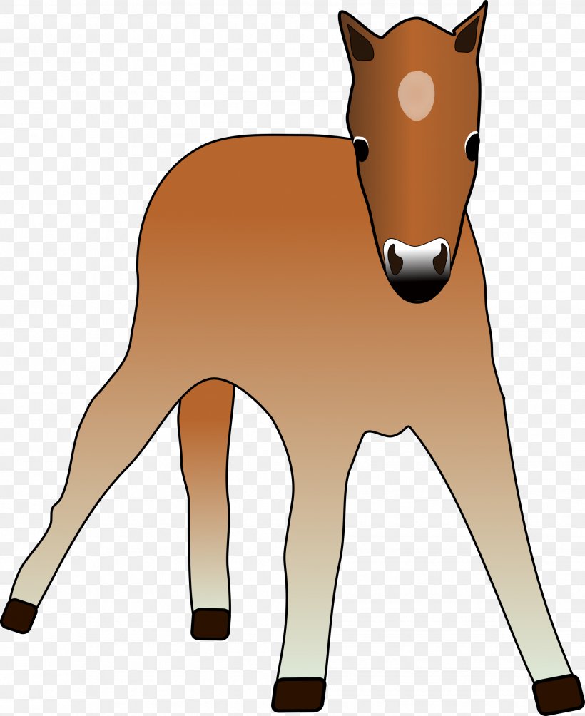 Foal Horse Colt Mare Pony, PNG, 1959x2400px, Foal, Animal Figure, Bridle, Carnivoran, Cattle Like Mammal Download Free