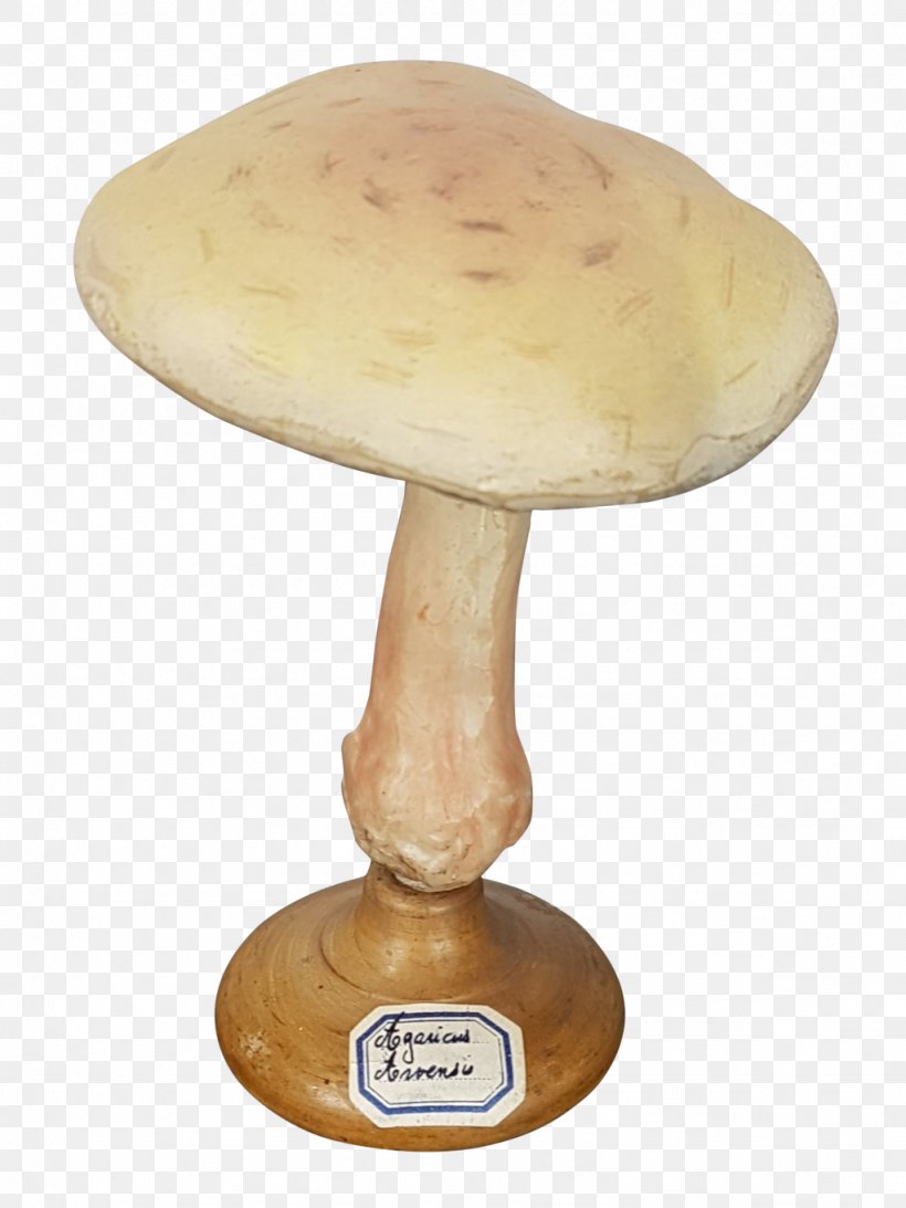 Mushroom, PNG, 1024x1365px, Mushroom, Table Download Free