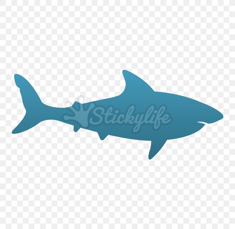 Requiem Sharks Profondità Sea Marine Biology, PNG, 799x799px, Shark, Biology, Cartilaginous Fish, Electric Blue, Fauna Download Free
