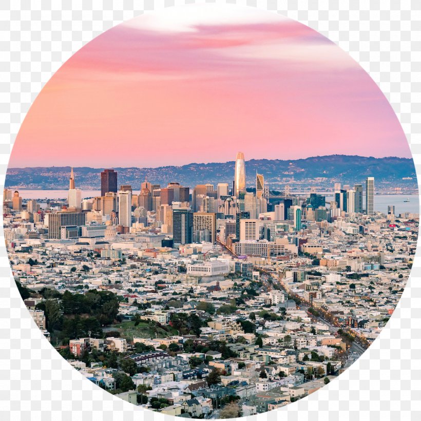 San Francisco Real Estate House 0 Organization, PNG, 1000x1000px, 2018, San Francisco, Business, California, City Download Free