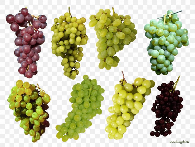 Common Grape Vine Fruit Varenye, PNG, 2112x1588px, Juice, Berry, Flowering Plant, Food, Fruit Download Free
