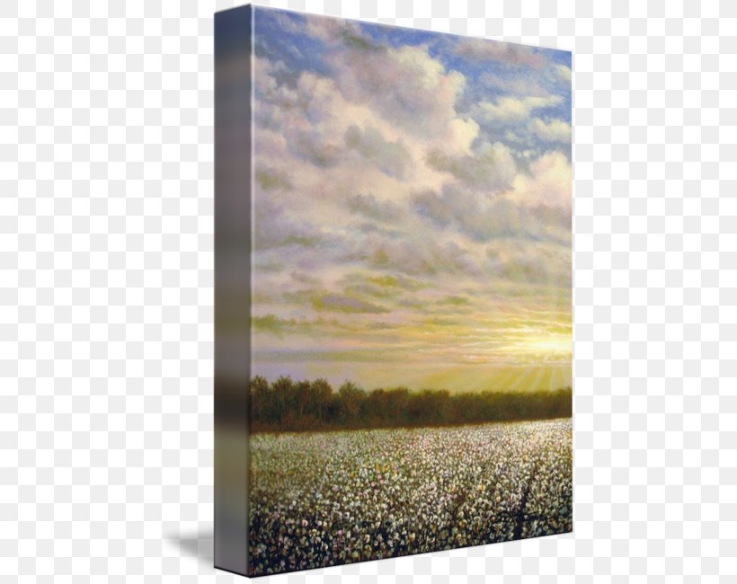 Mississippi Delta Painting Energy Picture Frames, PNG, 466x650px, Mississippi Delta, Cotton, Delta Air Lines, Ecoregion, Energy Download Free
