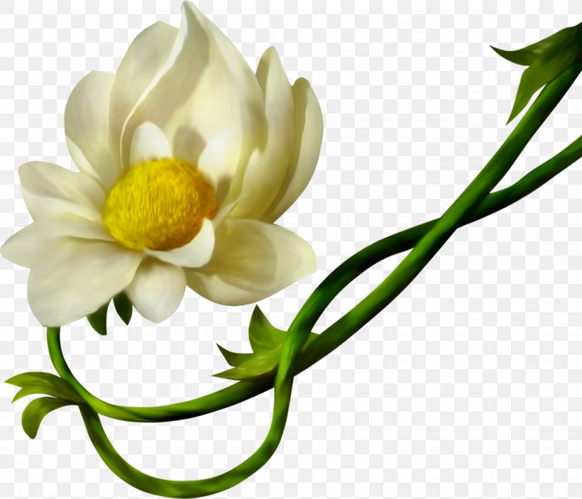 Petal Yellow Cut Flowers White, PNG, 1024x878px, Petal, Color, Cut Flowers, Data, Data Compression Download Free