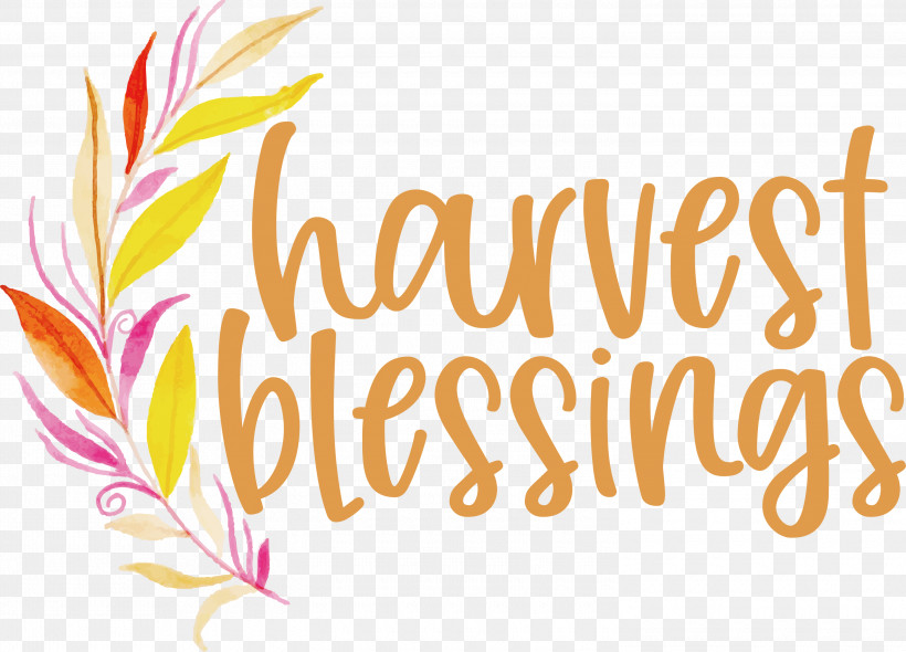 HARVEST BLESSINGS Thanksgiving Autumn, PNG, 3000x2161px, Harvest Blessings, Autumn, Floral Design, Geometry, Line Download Free