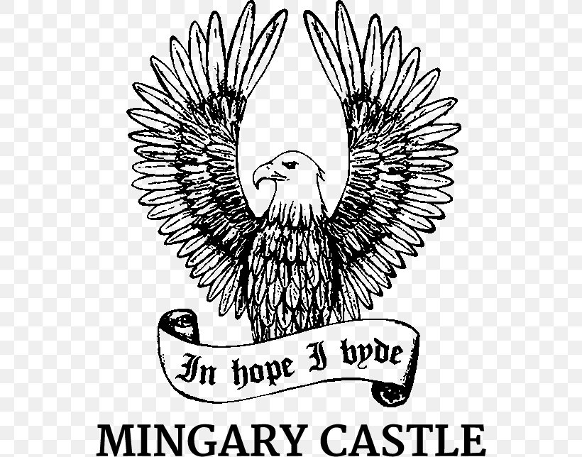Mingary Castle Ardnamurchan Drawing Eagle, PNG, 562x644px, Drawing, Argyll, Artwork, Beak, Bird Download Free