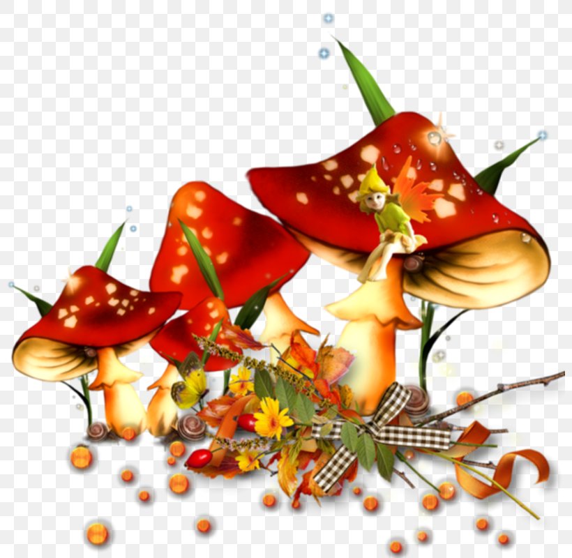 Mushroom Art Clip Art, PNG, 800x800px, Mushroom, Art, Art Film, Bell Peppers And Chili Peppers, Blog Download Free