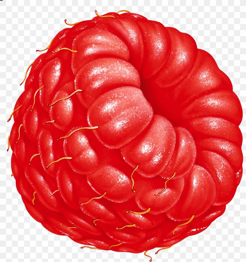 Raspberry Download Fruit Clip Art, PNG, 964x1024px, Raspberry, Berry, Blackberry, Bologna Sausage, Clipping Path Download Free