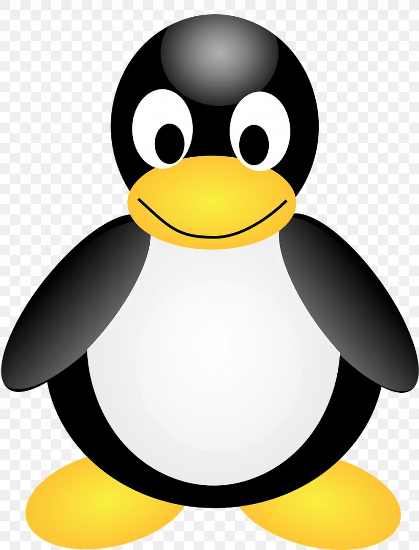 Tux Penguin Clip Art, PNG, 974x1280px, Tux, Beak, Bird, Computer Software, Flightless Bird Download Free