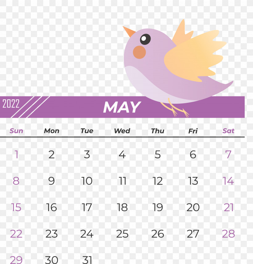 Birds Line Calendar Beak Font, PNG, 4185x4367px, Birds, Beak, Biology, Calendar, Geometry Download Free