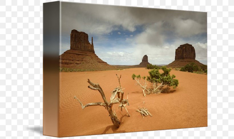 Camel Stock Photography, PNG, 650x489px, Camel, Aeolian Landform, Camel Like Mammal, Desert, Landscape Download Free