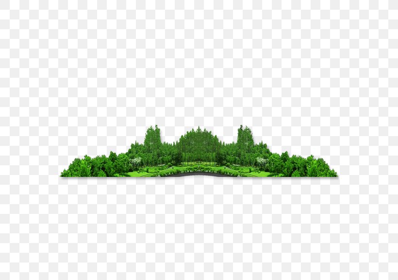 Download Forest Icon, PNG, 576x576px, Forest, Elements Hong Kong, Grass, Green, Lawn Download Free