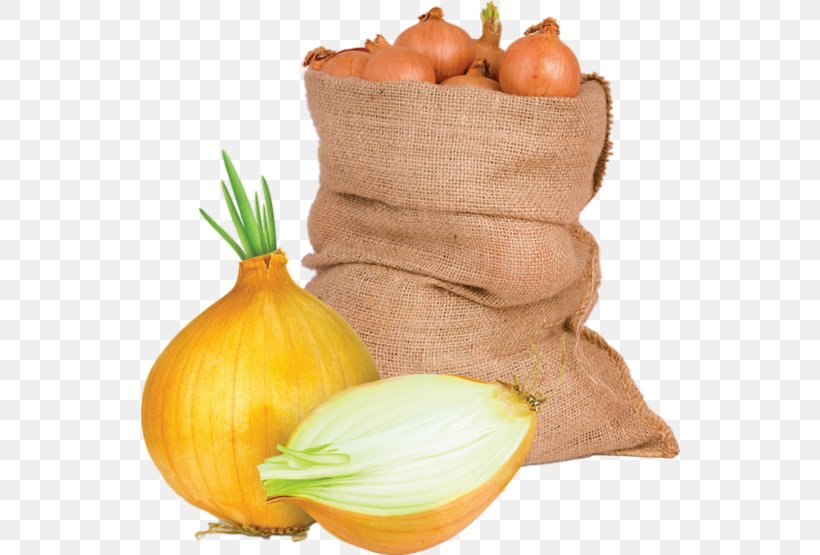 Calabaza Shallot Vegetable Food Vegetarian Cuisine, PNG, 540x555px, Calabaza, Alternative Medicine, Commodity, Cucurbita, Diet Food Download Free