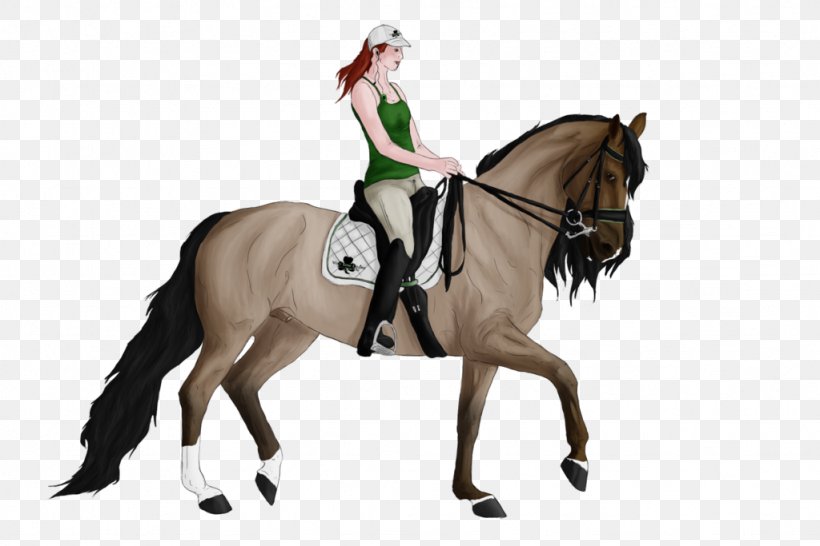 Stallion Dressage Rein Mustang Mare, PNG, 1024x683px, Stallion, Animal Sports, Animal Training, Bridle, Dressage Download Free