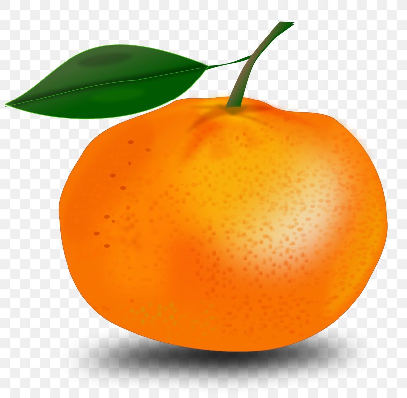 Clip Art Orange Illustration Vector Graphics, PNG, 800x800px, Orange, Bitter Orange, Citrus, Clementine, Diet Food Download Free