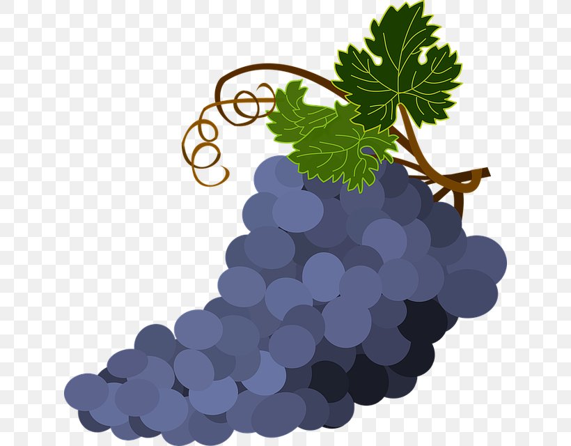 Common Grape Vine Clip Art Wine Grape Leaves, PNG, 636x640px, Common Grape Vine, Bilberry, Flowering Plant, Food, Fruit Download Free