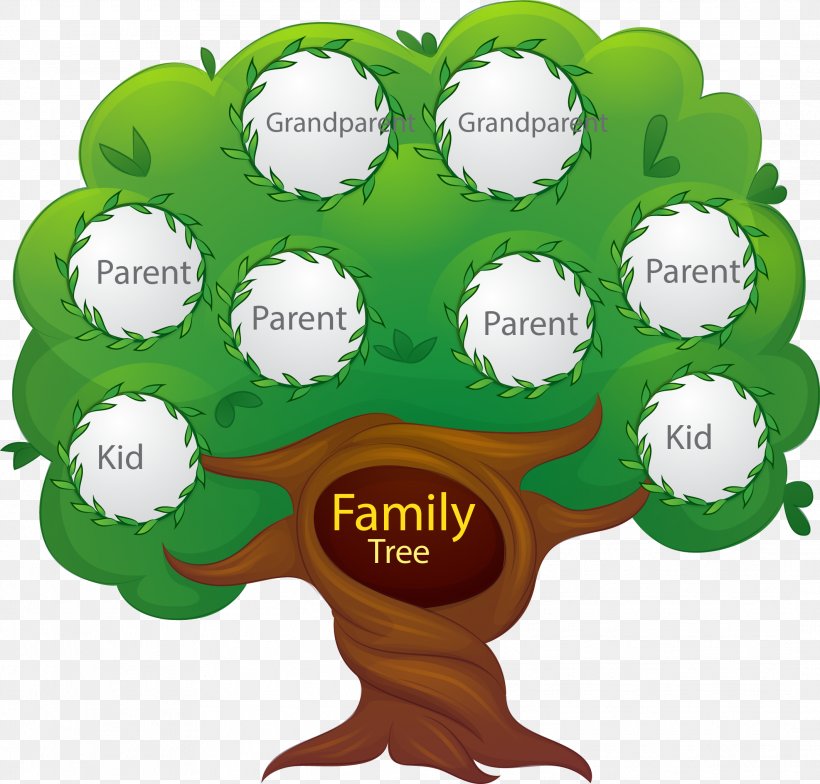 Family Tree Euclidean Vector Generation, PNG, 2127x2036px, Family Tree, Ball, Family, Father, Football Download Free